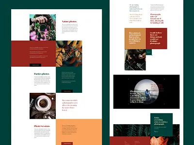 Snap - Photography social network colored design illustration landing page ui ux web web design