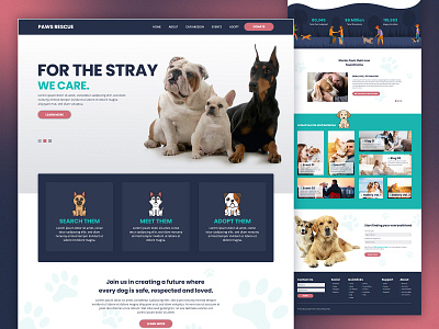 Paws Homepage Design homepage ui web design web ui website design