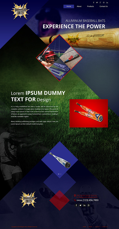 Sport Store in Creative Style app branding design graphic design illustration logo typography ui ux vector web design web layout