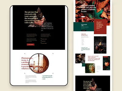 Snap - Home colored design landing page ui ux web web design