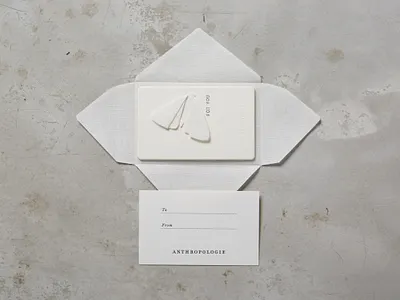 Gift card holder (Moth) gift card holder gifting moth