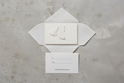 Gift card holder (Moth) gift card holder gifting moth