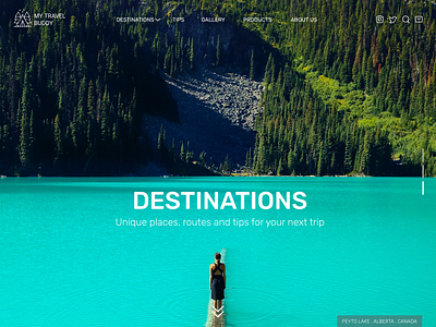 Travel & Trip planing company adventure branding camping design landing page minimal outdoors tourism travel travel agent travel guide traveller travelling ui ui ux ux vacation vector web design website