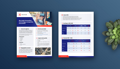 Professional Flyer and Leaflet design template brochure design flyer flyer design graphic design leaflet poster profesional