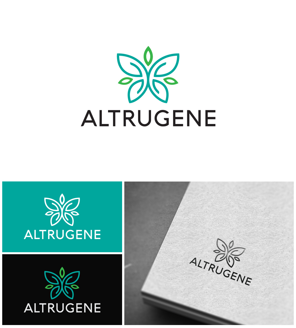 Example of Professional Logo Maker