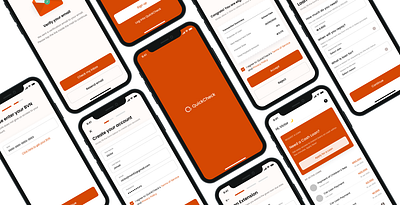 Quick Check Loan Application app design ui