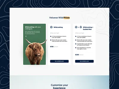 Pricing page Wild experiences branding dashboard design desktop logo outdoor pricing table typography ui ux vector