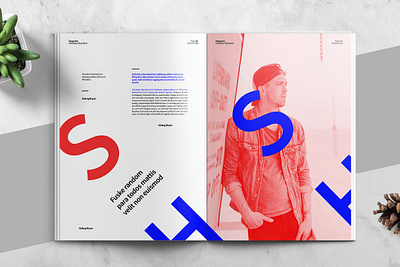 HELVETICA - Magazine Template a4 art bauhaus brochure brochure template catalog clean creative exhibition helvetica indesign letter lookbook magazine magazine design magazine template modern multipurpose print swiss