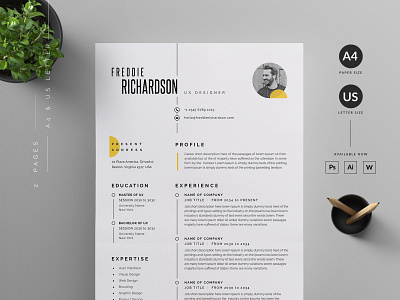 Resume/CV professional