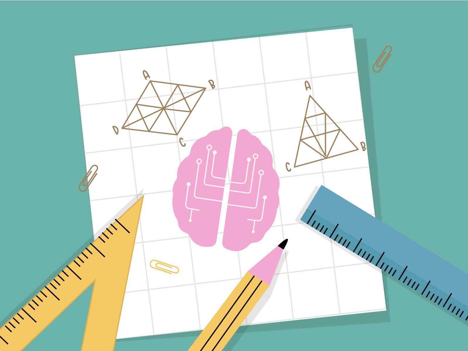 Example of Custom Procreate & Adobe Illustrations