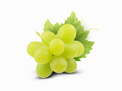 Green grapes vector illustration food fresh fruit fruit fruit vector grape leaf grapefruit grapes grapes art grapes illustration grapes vector grapevine green grapes illustration realistic grapes vector vector vector illustration