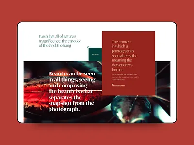 Snap - Slider design landing page ui ux web web design