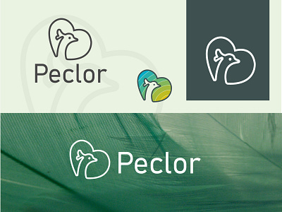 Peclor is a online Brand. branding creative dmarkecy graphic design online peclor piatfrom