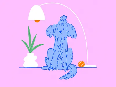 Dogs that live in apartments