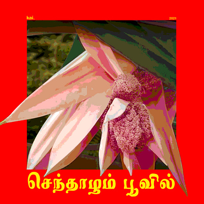 Senthazham Poovil - Album cover for kai.