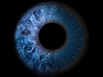Graphical pattern of the human iris graphic design