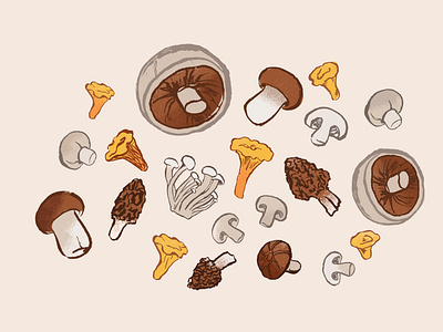 Wild Mushrooms chanterelle drawing food fungus grain illustration ink morel mushroom nature porcini portobello shitake texture vegetables woodland