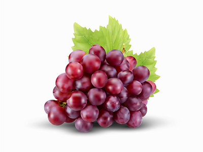 Red grapes vector berries closeup eco food fresh fruits fruit vector grape juice grape leaf grapes grapes illustration grapes juice grapes vector grapevine illustration natural organic food realistic grape red grapes vector vine fruit winery