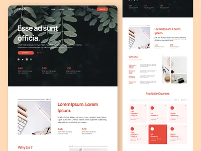 Online Course 3d animation branding course website design ecommerce graphic design home page illustration logo motion graphics online course soft soft design template ui ui ux design web design website design