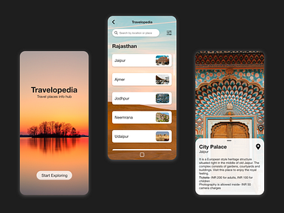 Travel Info Application mobile app ui ui design user interface