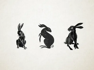 Illustrations branding design graphic design illustration logo packaging