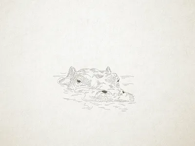 Hip Hippopotamus etching graphic design illustration wine