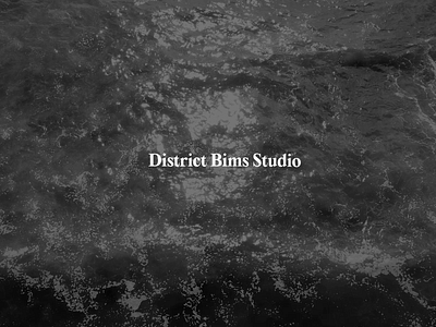 District Bims Studio