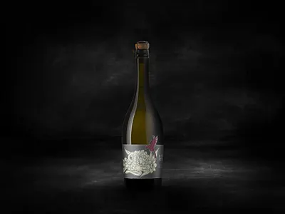 Prosecco branding graphic design illustration logo packaging wine