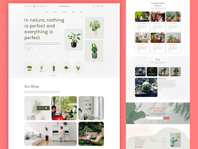 Plant Shop Design branding design graphic design land typography ui ux