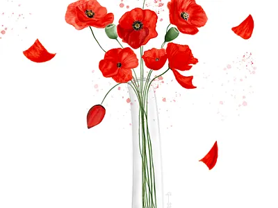 Fireworks of Poppies design digital art digital draw illustration procreate