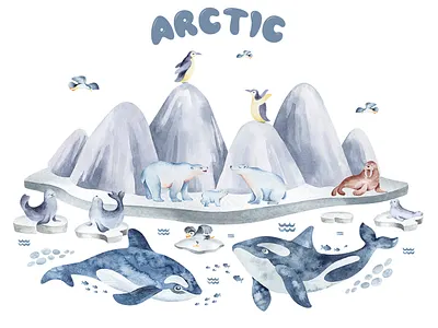 Illustrations for children's design. branding design drawing illustration invitation logo typography