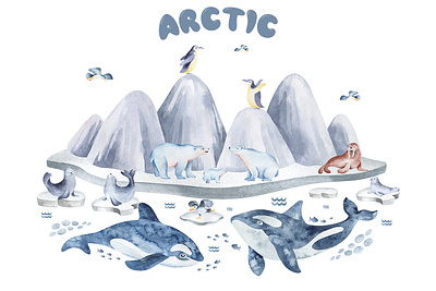 Illustrations for children's design. branding design drawing illustration invitation logo typography