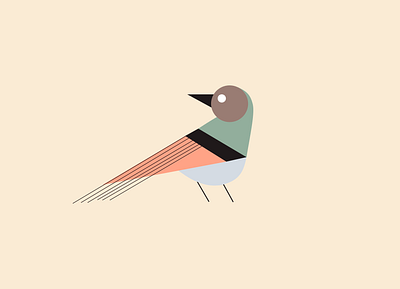 Sparrow design figma graphic design illustration vector