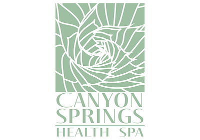 Brand Identity: Canyon Springs bath salts body wash botanical brand identity branding design grand canyon graphic design health spa illustration illustrator logo lotion print spa springs