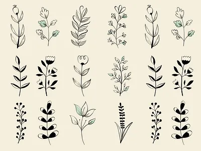 Back to Basics black and white botanical botanical drawing branding design digital illustration flat illustration ink pattern pattern design sketchbook art surface design vector