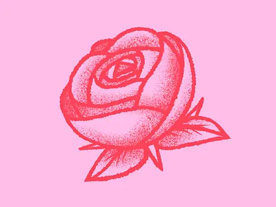 Red Rose Illustration botanic drawing floral flower grain illustration plants red rose