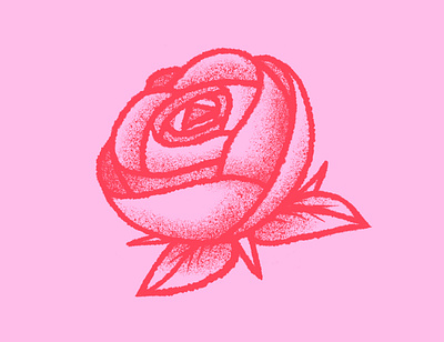 Red Rose Illustration botanic drawing floral flower grain illustration plants red rose