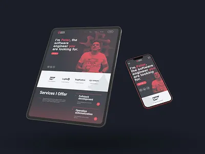 Software Developer Portfolio Website design engineer landing portfolio software developer ui web