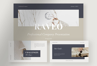 Raveo - Professional Company Profile Presentation branding company company profile concept corporate creative creative agency design graphic illustration modern multipurpose multipurpose template powerpoint professional professional company profile presentation style web design web development