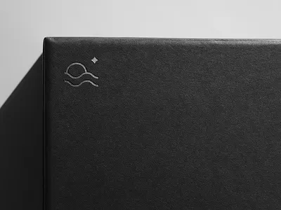 Ortus Box Design. art beautiful branding colors design illustration logo ui vector