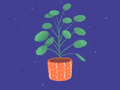 Pilea art design illustration jungle plant vegetal