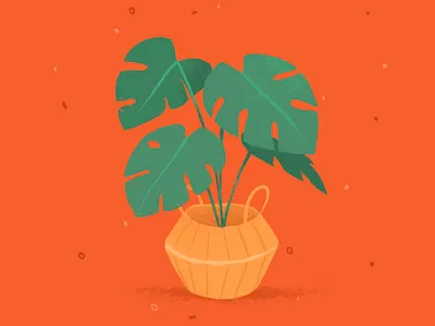 Monstera art design drawing graphic design green home illust illustration jungle monstera plant