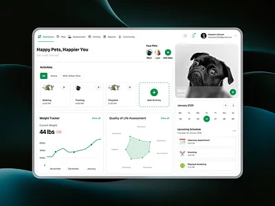 Pet Dashboard app dashboard design ui ui design ux ux design web app website