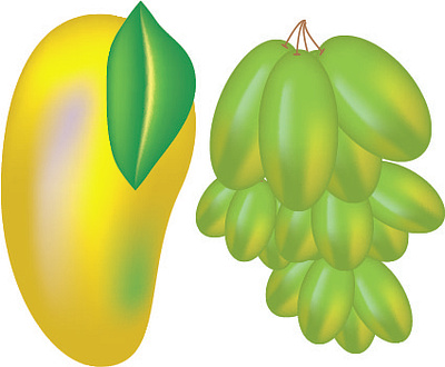 Learn How To Make Mango And Grapes using MESH TOOL in ILLUSTRATO animation graphic design illustration logo meshtool