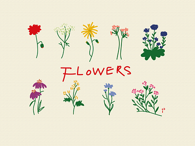 botanical flowers botanical design flowers graphic design illustration