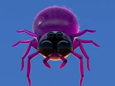 ARAÑA 3d araña c4d character illustration octane render spider