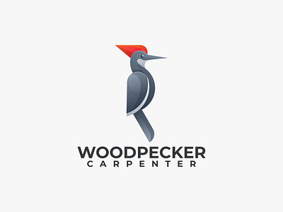 WOODPECKER CARPENTER app branding design graphic design icon illustration logo ui ux vector