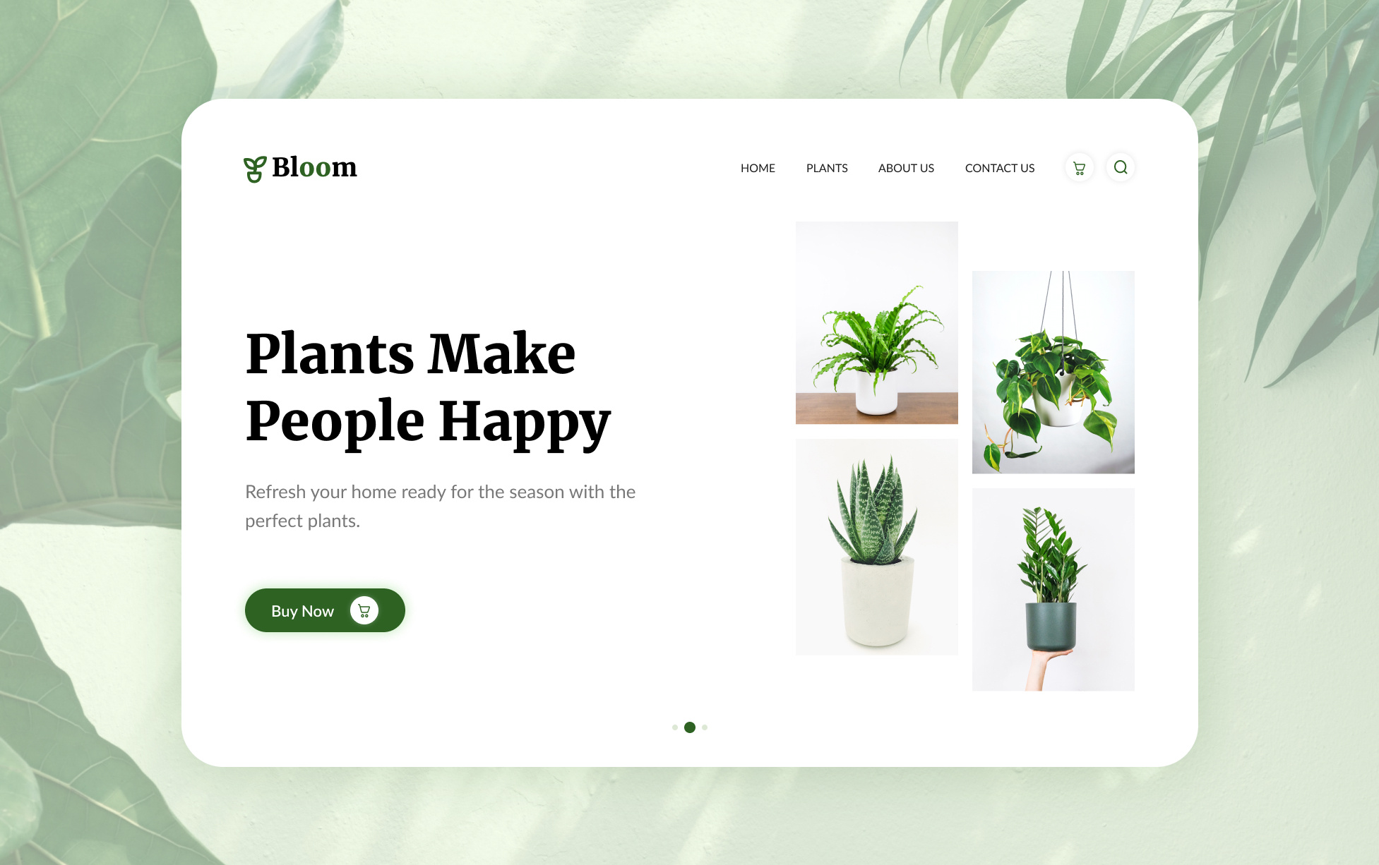 Example of Minimal Landing Page Design