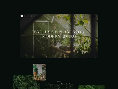 Intenz - eCommerce bonana brand commerce design digital ecommerce exploration green grid grow house intense layout minimal plants shop ui ux webdesign webshop