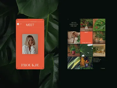 Intenz - Socials bonana branding collections ecommerce exploration green grid instagram intense layout leafs meet minimal orange plants socials ui ux webdesign webshop